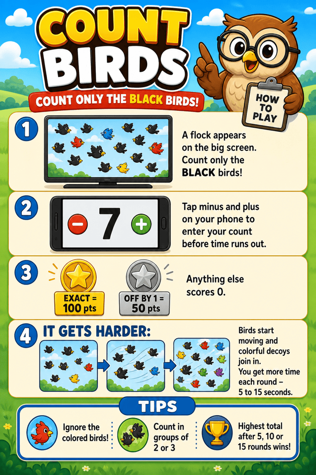 Count Birds — how to play